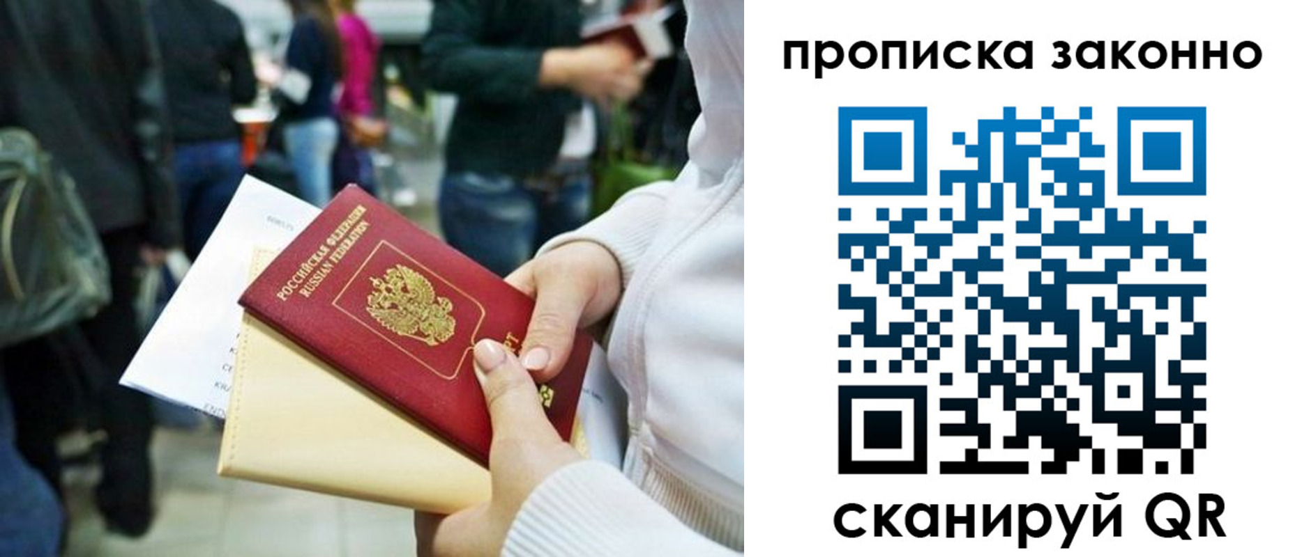 прописка поиск в Волосово